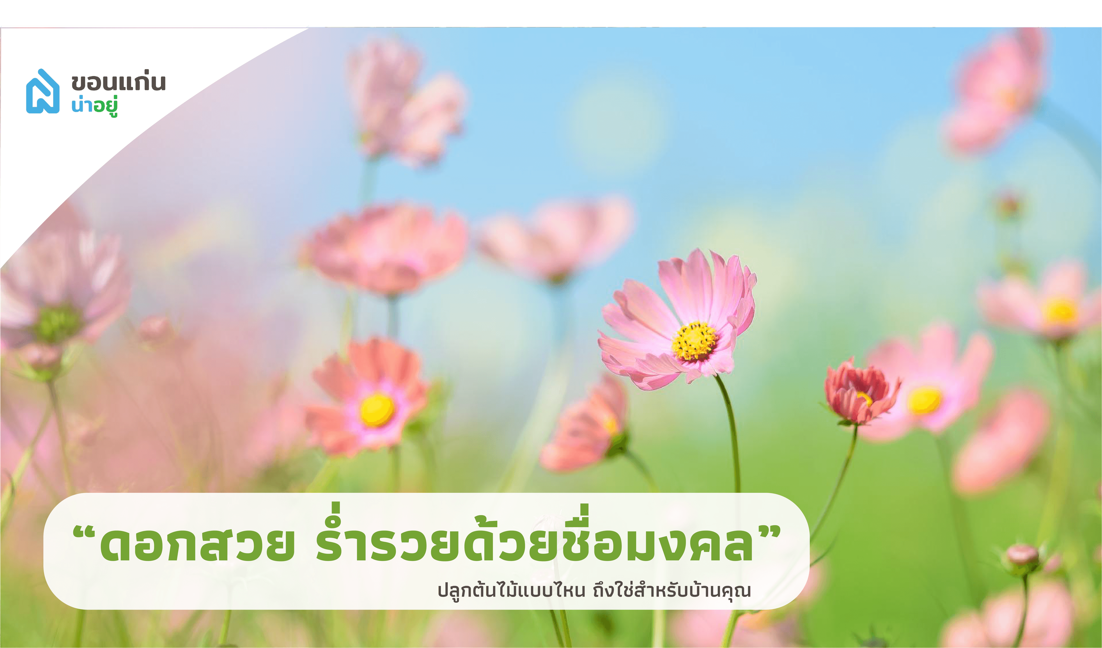 บ้านขอนแก่น ปลูกต้นไม้แบบไหน ถึงใช่สำหรับบ้านคุณ I ไม้ยืนต้น ดอกสวย ร่ำรวยด้วยชื่อมงคล
