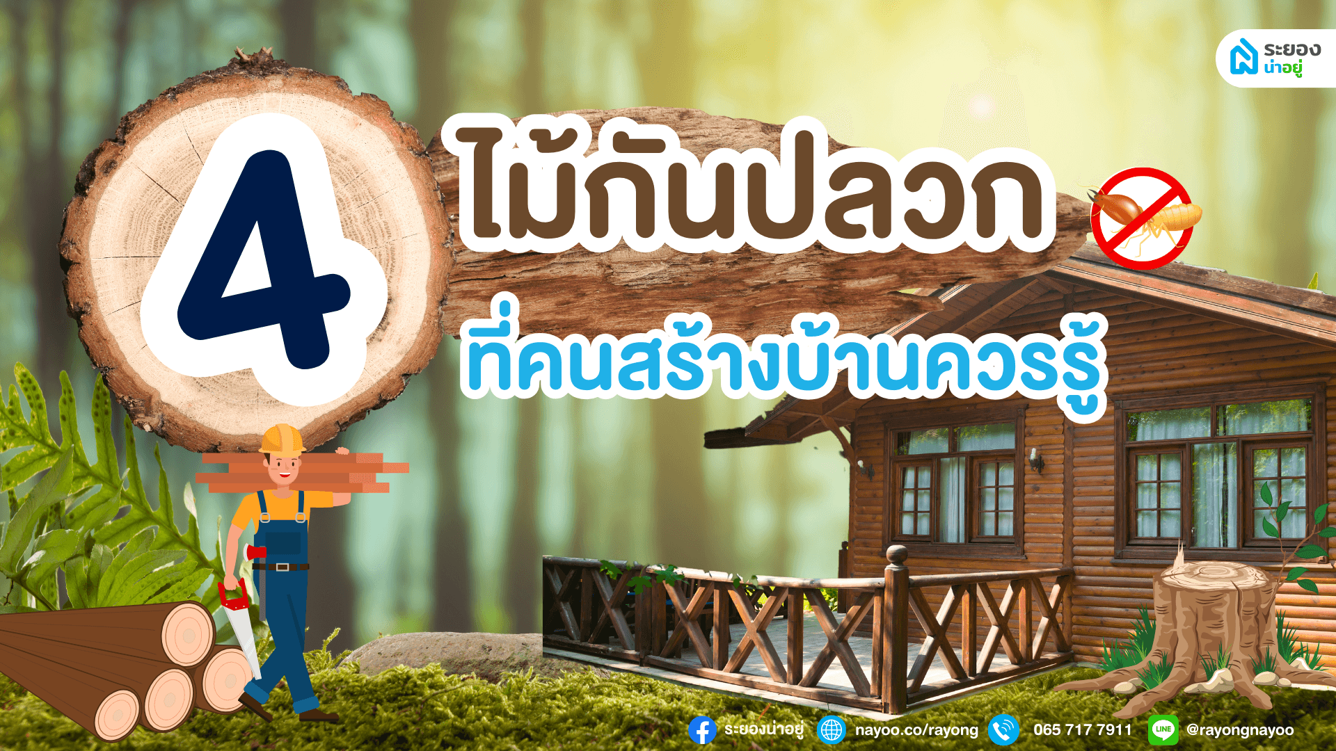 4 ไม้กันปลวก ที่คนสร้างบ้านควรรู้