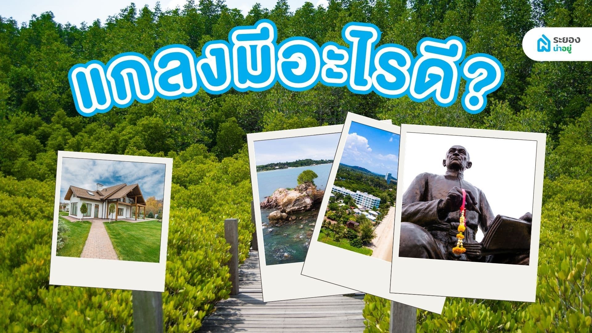 แกลงมีอะไรดี?