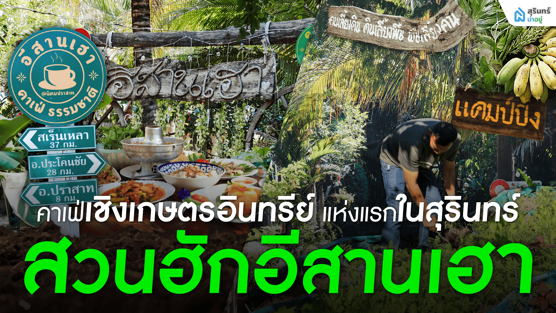 สุรินทร์น่าอยู่ พาเที่ยว คาเฟ่เชิงเกษตรอินทรีย์ แห่งแรกในสุรินทร์ สวนฮักอีสานเฮา