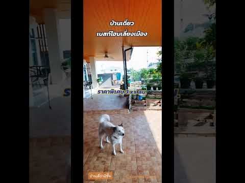 บ้านเดี่ยวเบสท์​โฮมเลี่ยงเมือง​ บ้าน2ชั้น​ 60ตรว4นอน​ 4น้ำ​ สภาพนางฟ้า​ #บ้านขอนแก่น​ #บ้านมือสอง​