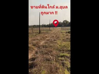 ขายที่ทำเกษตร ห่าง ม.อุบล เพี้ยง 3.5 kg.